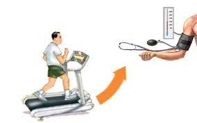 کد 564: تاثیر ورزش بر فشار خون سوم تا ششم ابتدایی
