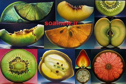 کد 193: طرح جابر درون میوه 