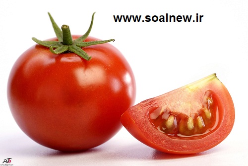 کد 206 : طرح جابر گوجه فرنگی