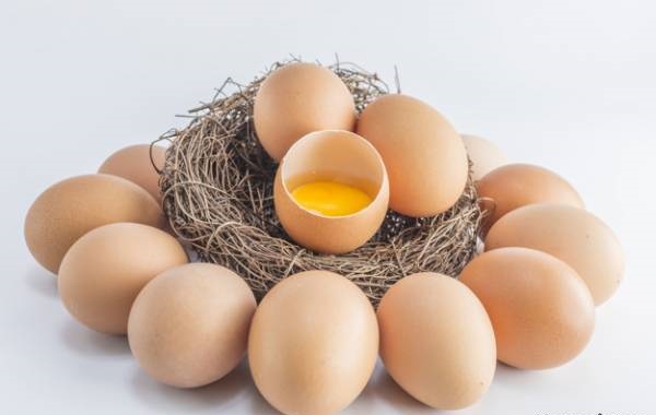کد 226 : تشخیص تخم مرغ تازه