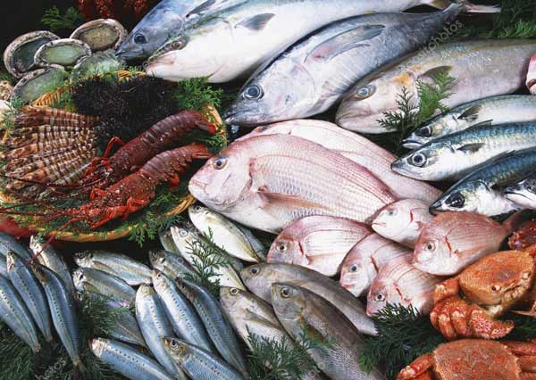 کد 225 : غذا دریا